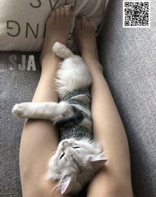 图片区小说区欧亚洲系列_剧情片高清视频观看