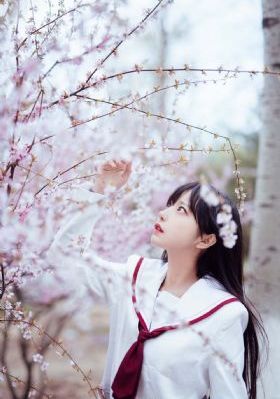 美女又爽又黄大尺度_视频全集
